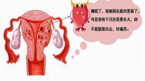 上海添喜助孕[哪里能做供卵],2023最新镇江三代供卵生男孩医院名单已更新！附